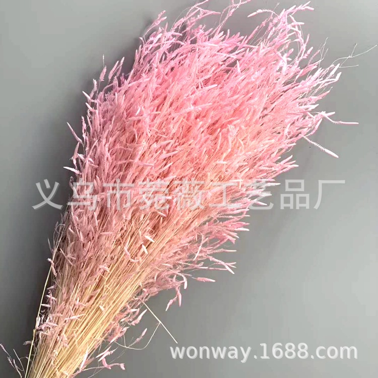Natural plant preserved dried flowers, imported wind-driven grass handicrafts, flower arrangement, floating bottle, keychain with grass pic 3