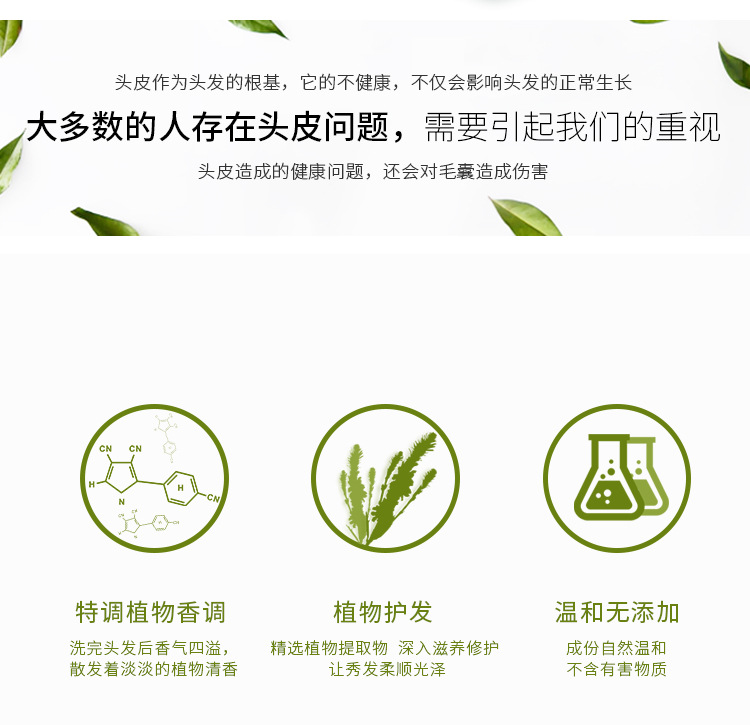 瑞士原装Smillson丝密生 草本滋养顺滑控油去屑洗发水护发素批发详情10