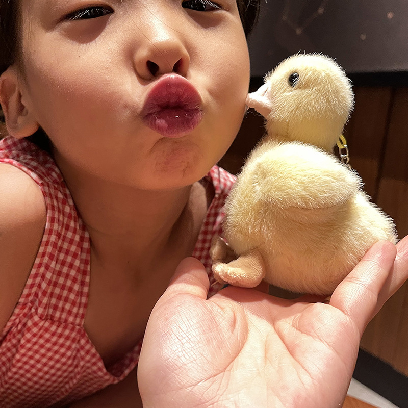 Long-haired chicken hanging machine, plush male chicken duck backpack, doll keychain decoration, mini doll hanging piece pic 4
