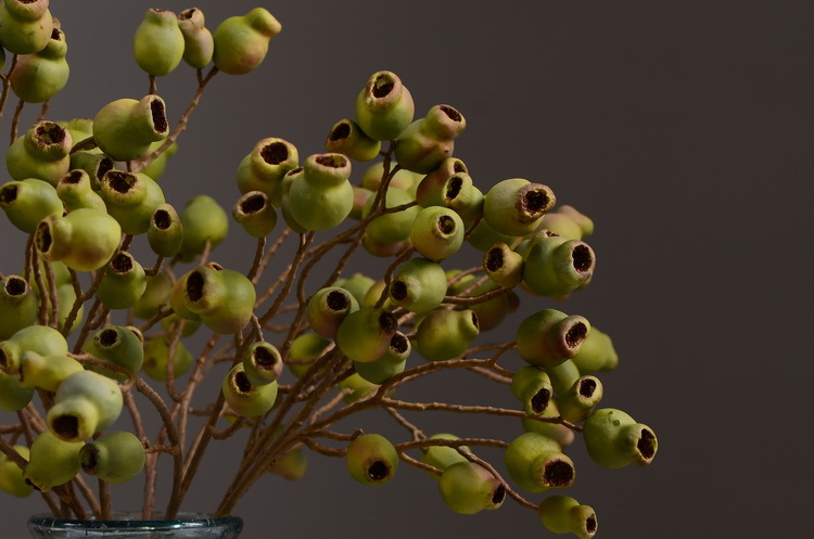 Dongli Flower Industry, the original manufacturer, is now wholeselling vintage decorative pipe fruit artificial flowers, artificial flowers, table flowers, artificial berries, zombie fruits, eucalyptus fruits, and offers one-piece consignment pic 9