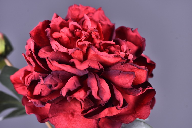 Factory direct sales of 2 simulated peonies, retro charred edge simulated peonies, soft decoration floral art for living rooms, lobbies and homestays pic 61