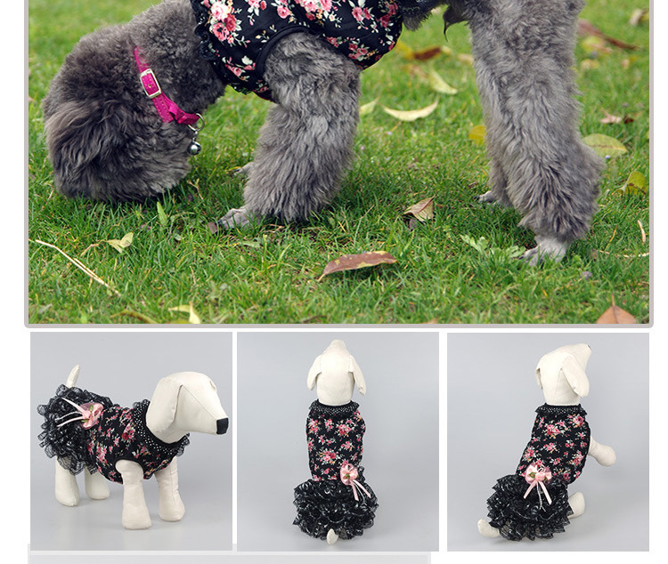 Summer new cool and cute dog dress, fashionable lace small floral cat dress pic 7