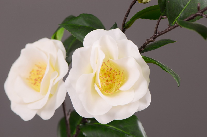 High-end artificial camellia wholesale from the original factory, ins home, hotel, banquet table flowers, cross-border pic 6