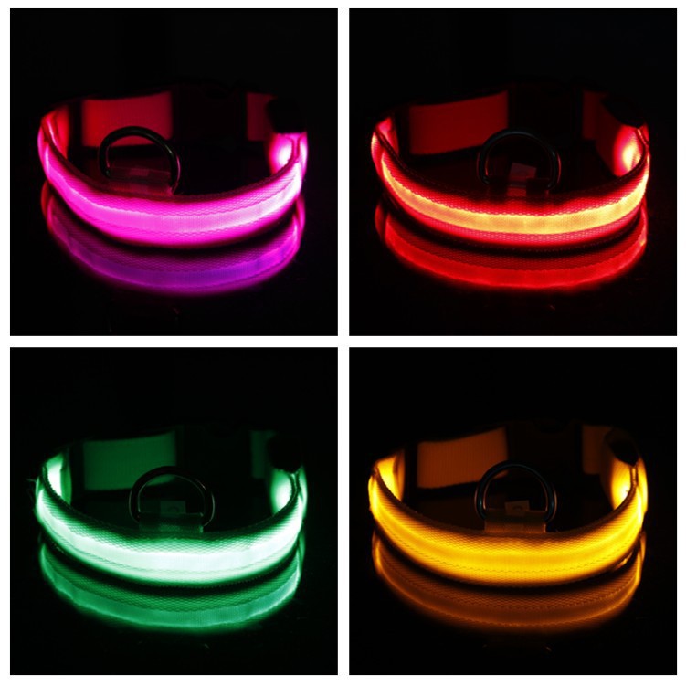 طوق أليف أليف (LED) كلب أليف متوهج (LLD) لديه طوق للكلاب المتوهجة (LLD pic 61