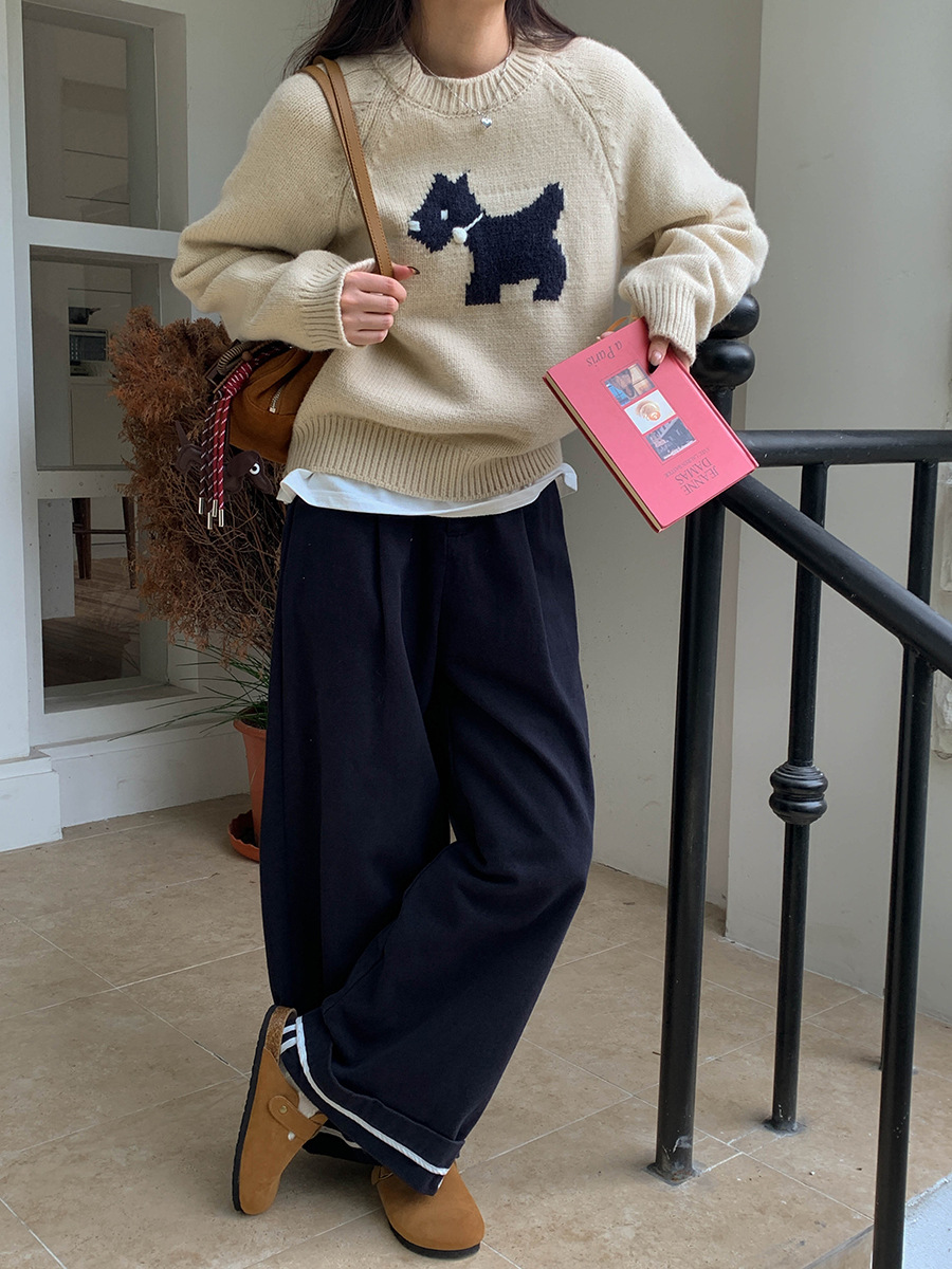 3th Morning North Island Park Korean Style Youthful Dog Embroidered Round Neck Pullover Sweater ZY2381 pic 24