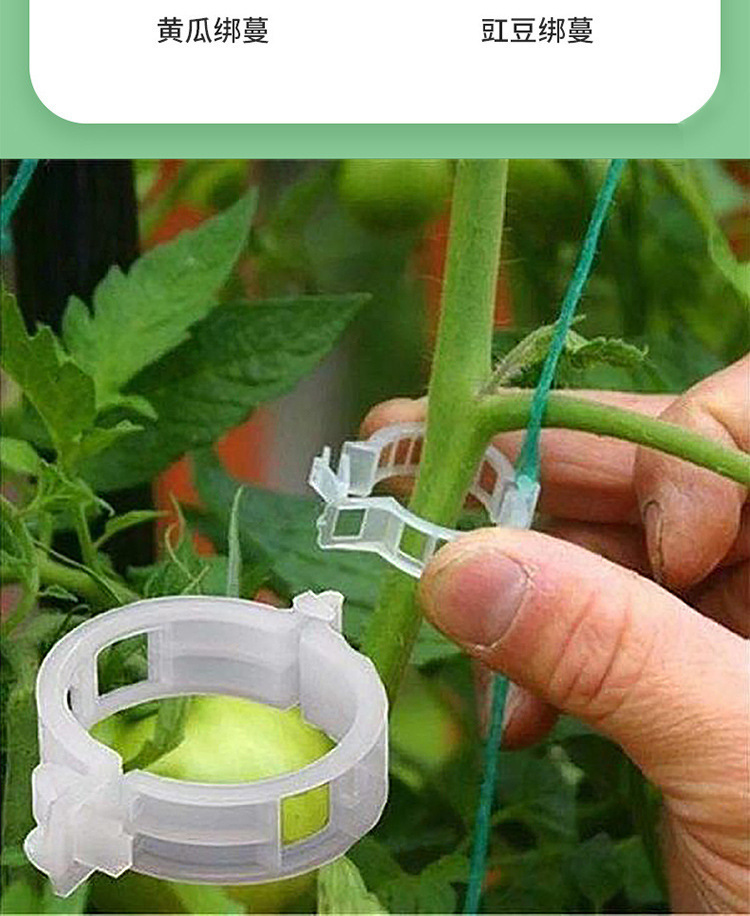 扶蔓夹绑蔓夹吊秧卡扣绿植夹藤蔓固定夹辣椒茄子固定器秧苗植物夹详情4