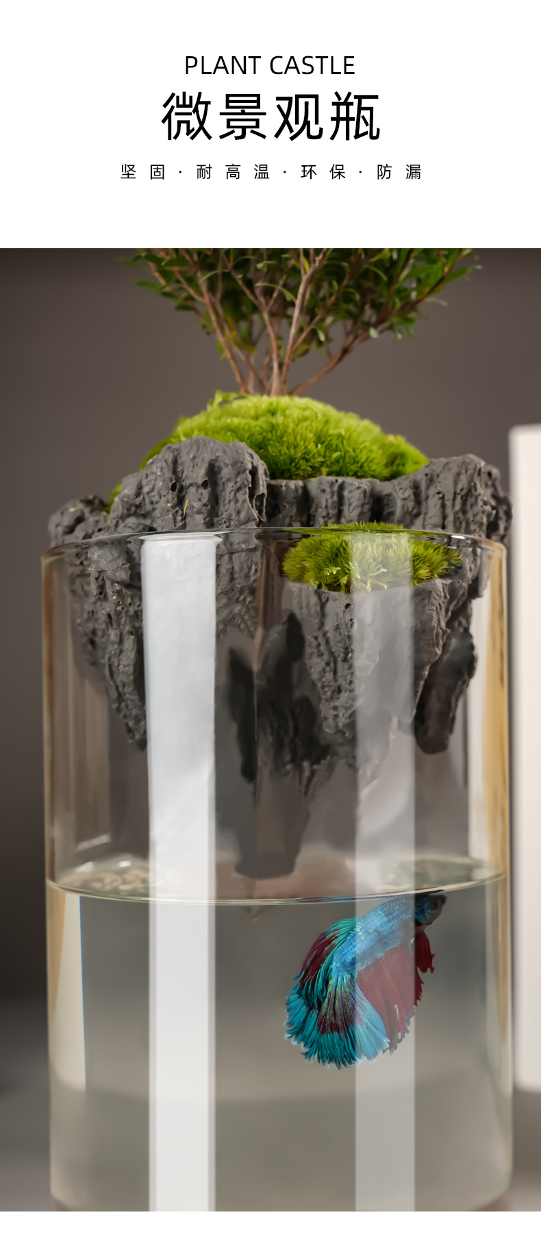 Wholesale transparent micro-landscape glass vase ornaments, hydroponic ecological bottles, diy moss tanks, succulent flower POTS, glass jars pic 20