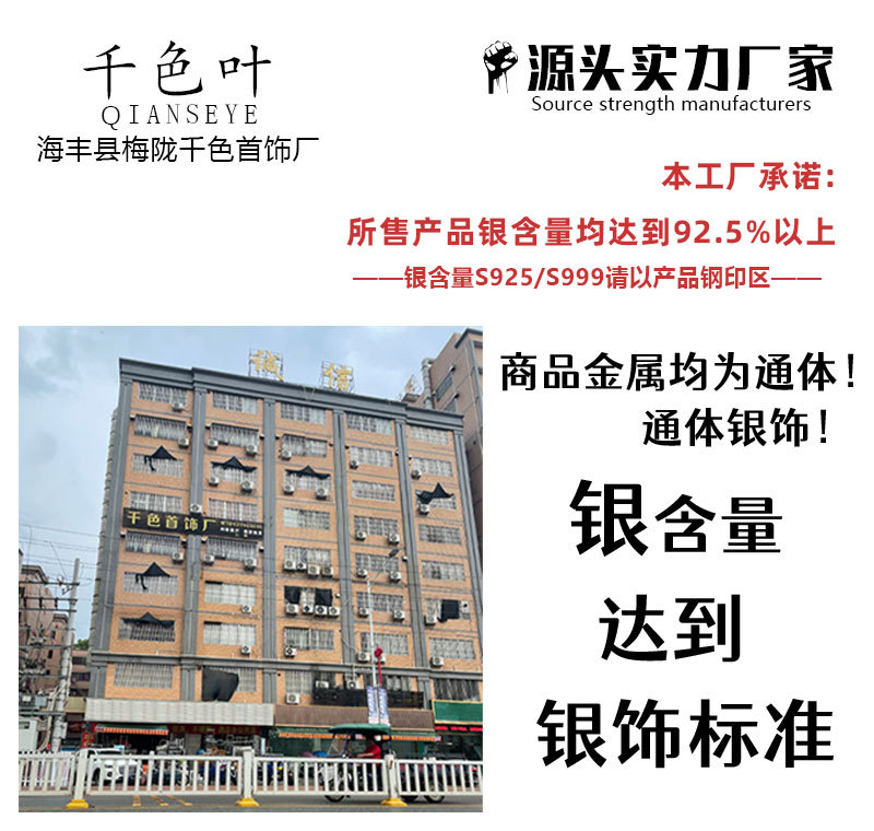 塑料棒耳钉女耳棒养耳洞耳针睡觉免摘耳环防堵针小耳饰详情1
