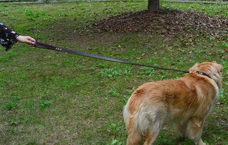 Crossover nuevo tipo de perro PU cuero cuerda de tracción collar correa fuerte pequeño medio grande universal para perros 1.3 1.5 metros pic 2