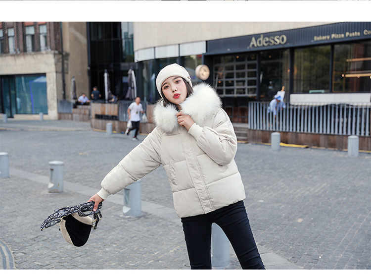 New winter cotton-padded jacket, thickened cotton-padded jacket, down cotton-padded jacket for women, short Korean-style fitted hooded bread jacket pic 23