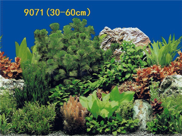 Wholesale export of 50cm high background painting, single-sided thin painting, 3D stereoscopic ecological aquarium sticker paper pic 78