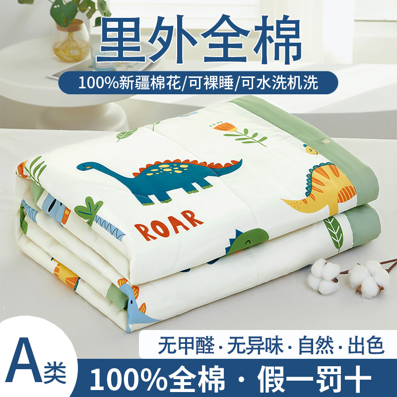 2024新款夏凉被a类母婴级全棉夏被纯棉印花儿童空调被四件套批发详情2
