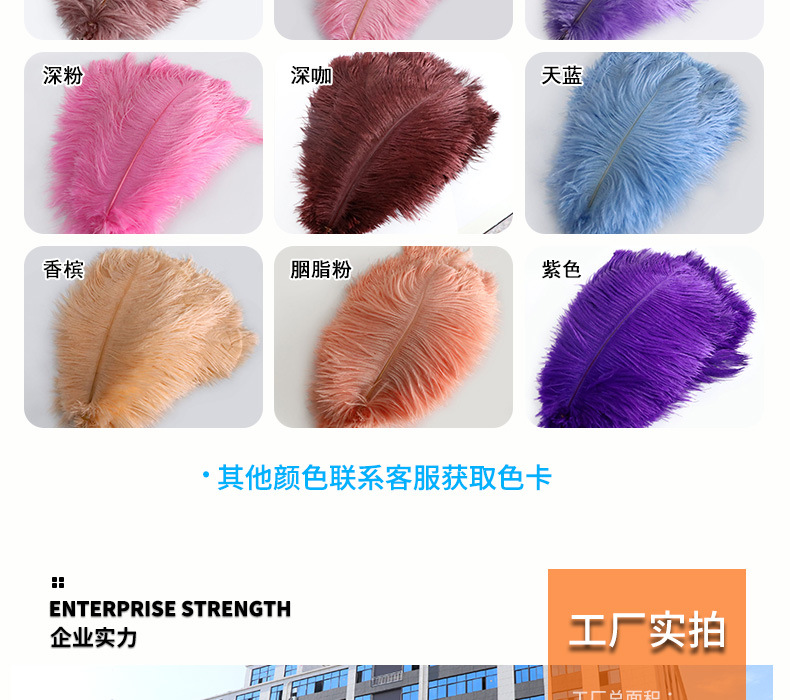 厂家现货鸵鸟毛30-35cm彩色羽毛婚礼装饰插花舞台服装婚庆指引详情21