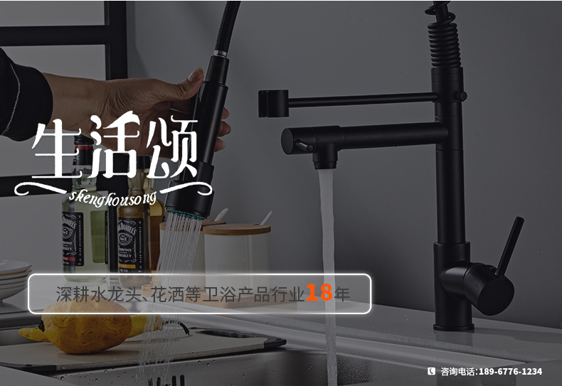 生活颂家用厨房水龙头 厨用弹簧水龙头 水槽洗菜盆水龙头一件代发详情1