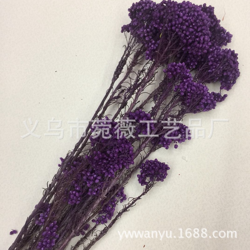 Yunnan manufacturer wholesale everlasting preserved fresh flowers, rose with grass, rice flower, rice grain flower arrangement, floating bottle, photo frame, special pic 16