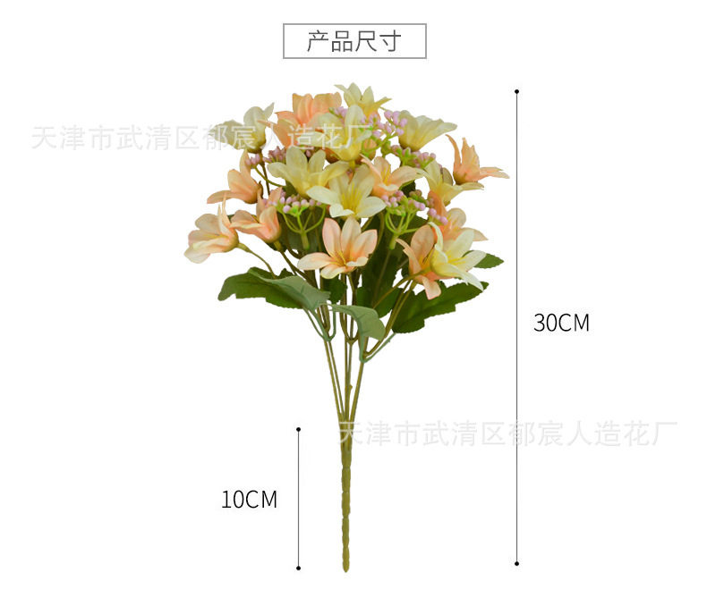 详情 (6).jpg