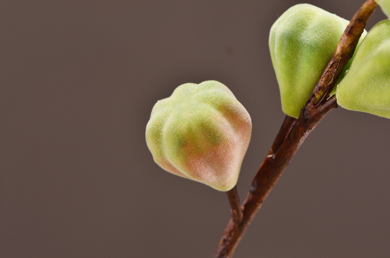 Wholesale of original factory flocking artificial figs, ins popular flower arrangements, artificial berries, entrance hall and hotel decoration pic 5