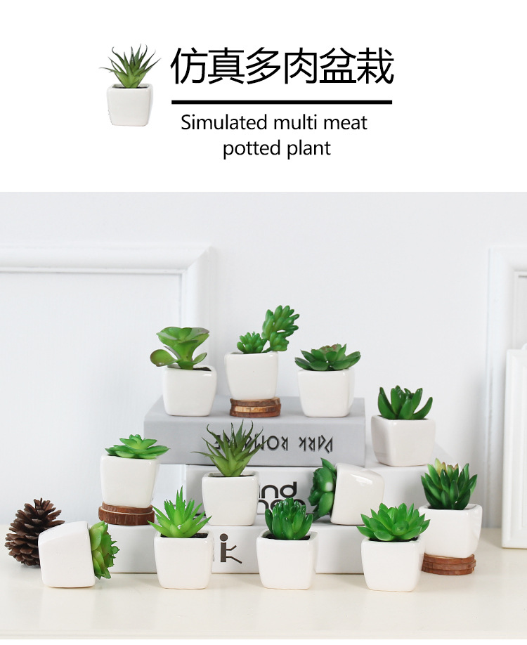 Factory wholesale mini artificial succulent plant potted plants, online store shooting props, desktop office decoration ornaments, artificial potted plants pic 7