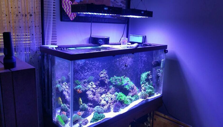 165W aquarium lamp, dimmable, Marine tank, coral aquatic plant lamp, fish tank lighting, full-spectrum Marine coral fish tank pic 18