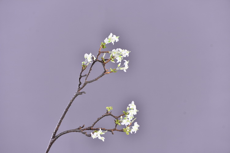 Factory wholesale of high-end artificial flowers, artificial purple rosewood flowers, soft decoration floral art for hotel and homestay model rooms, and artificial locust flowers pic 19