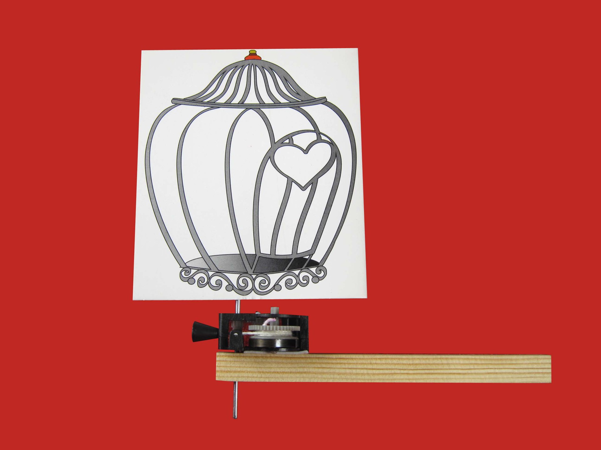 Science Experiment Set: Caged Bird, Zhiyi Technology Small Craft Toy, Competitive Game, Visual Pause - Entering the cage pic 10