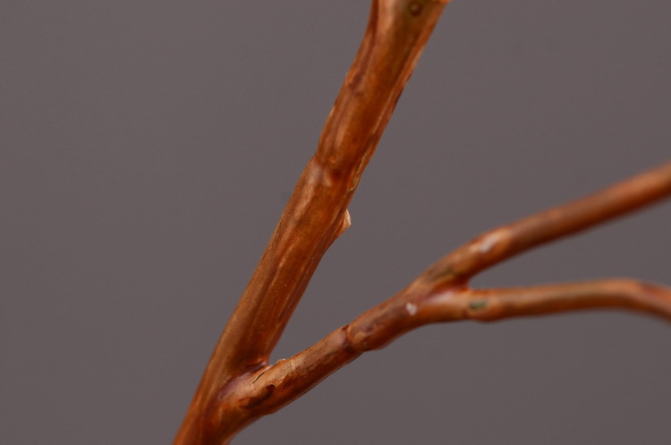 Dongli Wholesale Factory Director Direct sales of artificial ginkgo nuts, artificial flowers, wholesale of artificial flowers, home decorations, living room and dining room flower arrangements, flower art, artificial berries and fruits, one-piece consignment pic 26