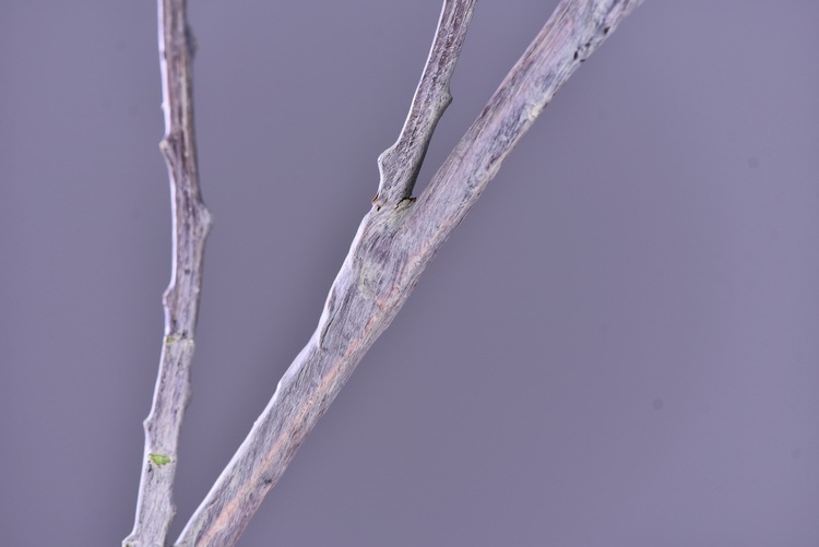 Wholesale of artificial apple branches, multi-leaf home decoration fruit branches, new Chinese-style New Year decoration berries from the manufacturer pic 46