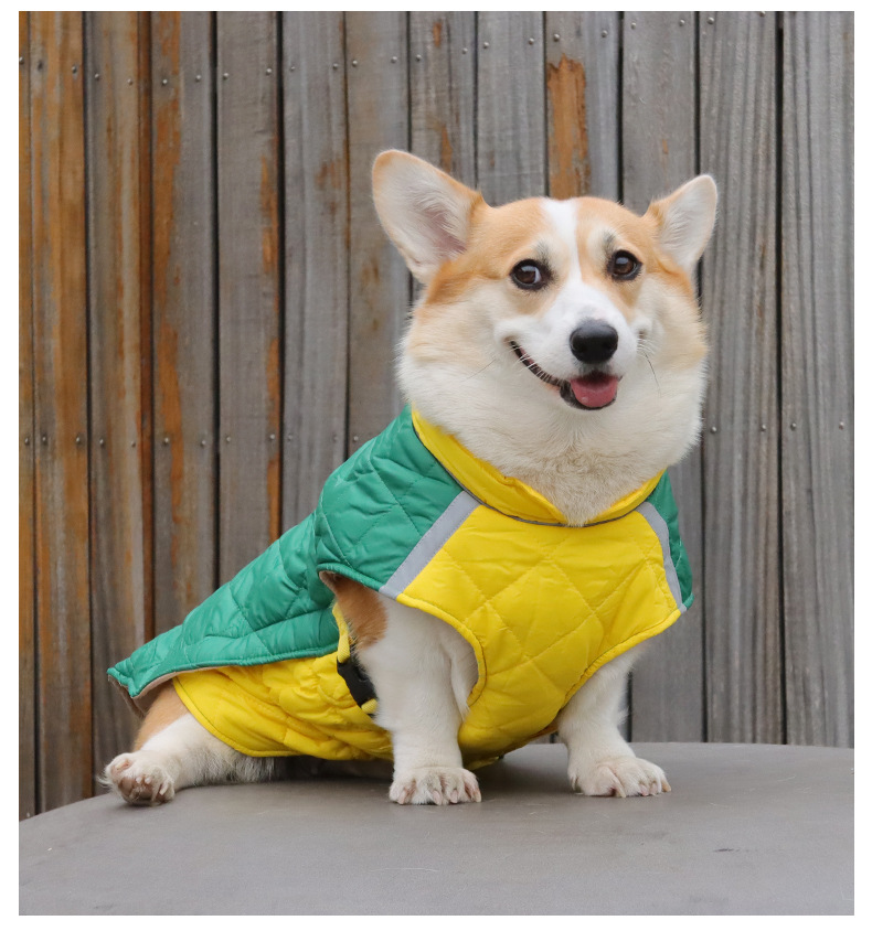 New pet clothing for autumn and winter, reflective and warm pet cotton-padded clothes, thickened dog clothes, pet supplies wholesale 689 pic 12