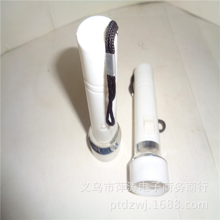DSC01696