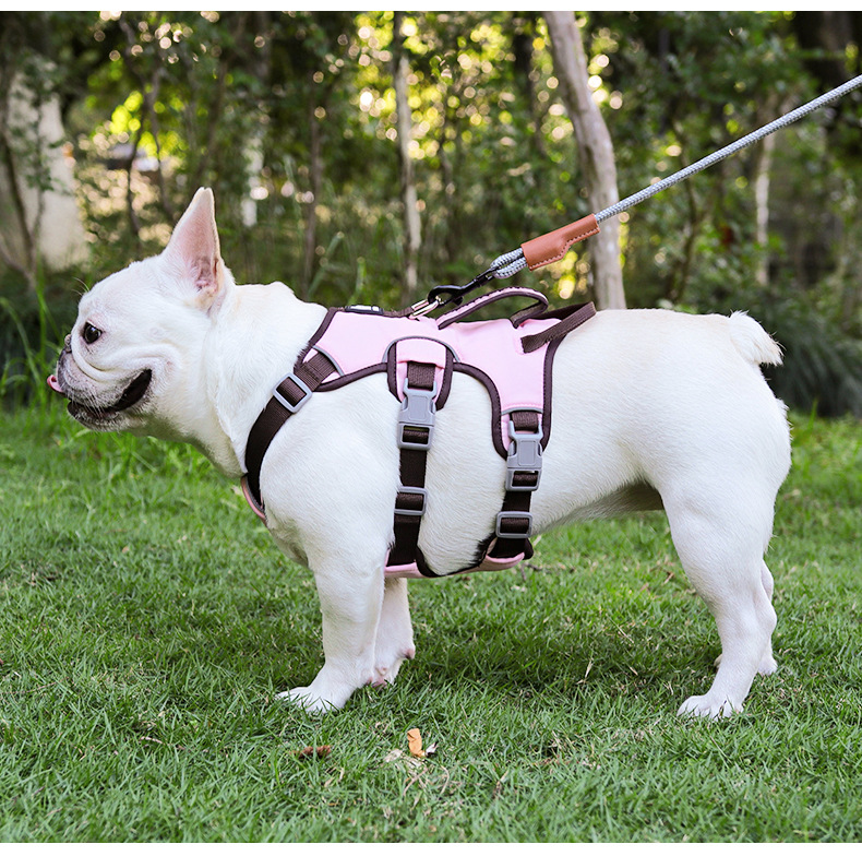 狗狗牵引绳中小型犬宠物胸背带反光防护减震狗狗胸背宠物牵引绳详情18