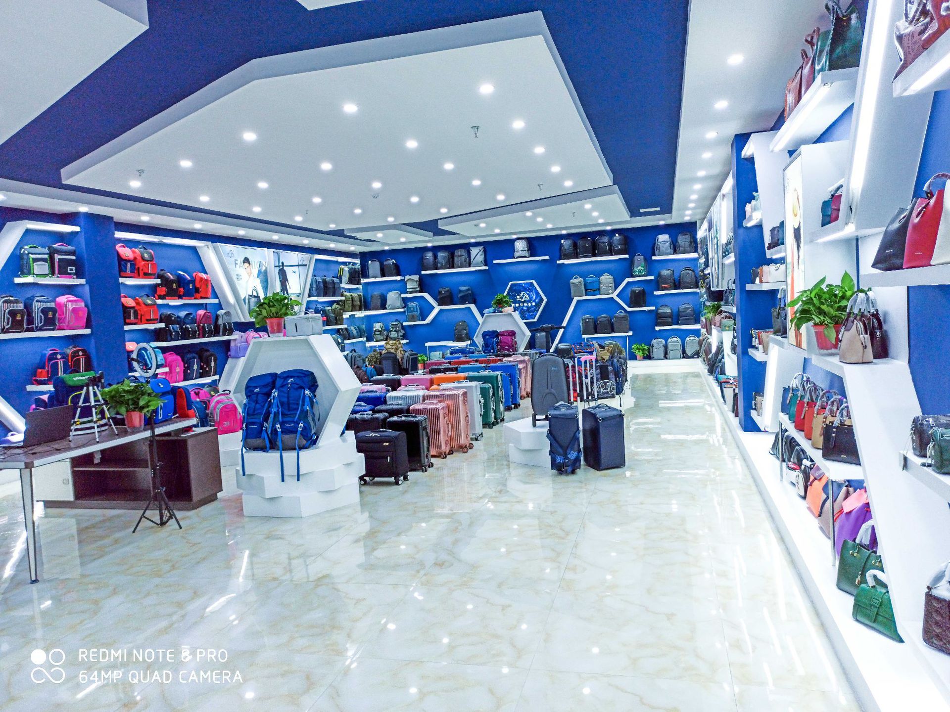 新款小学生书包女冰箱开门轻便大容量1-6年级梦幻儿童双肩包批发详情30