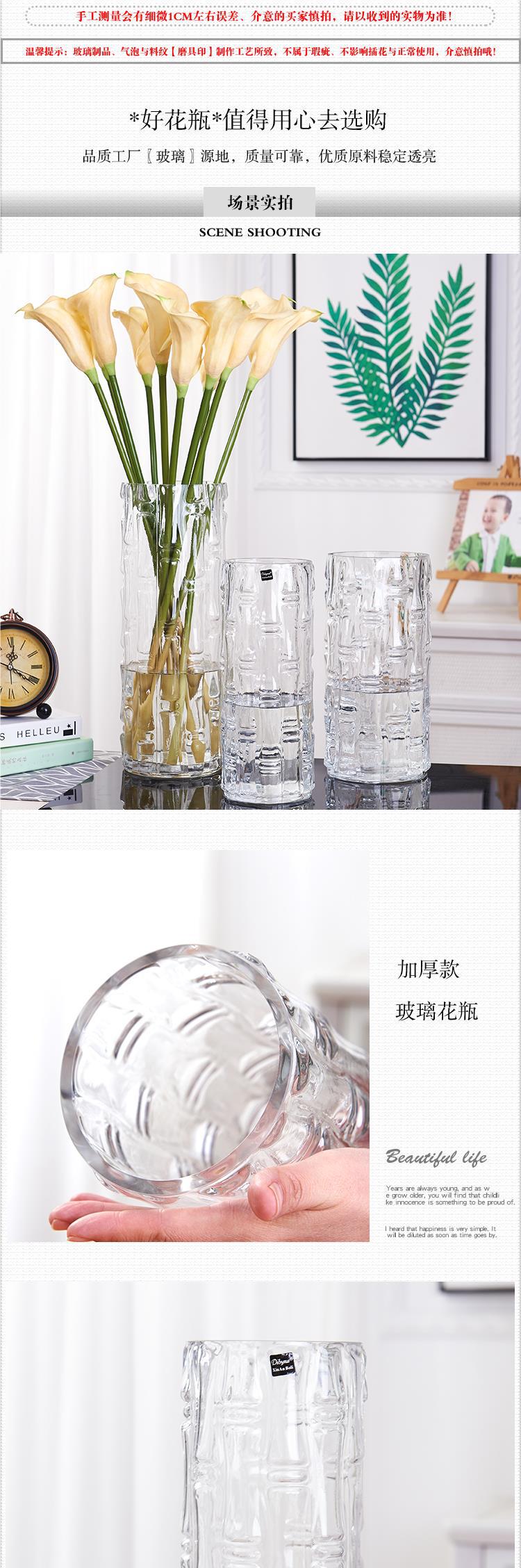 Extra-large floor-standing lucky bamboo vase, transparent glass, hydroponic straight tube, home living room flower arrangement pic 2