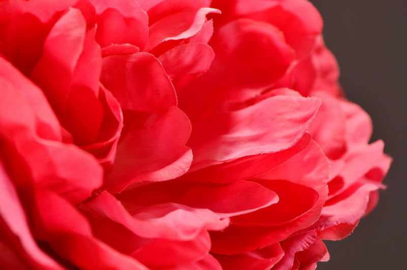 Wholesale of artificial large-branch peonies for home, hotel, restaurant soft decoration, artificial flowers and artificial paeonies from the manufacturer pic 18