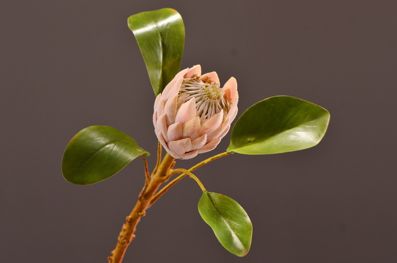 Wholesale of high-end artificial flowers such as faux emperor flower, South African princess flower, flocked faux flowers, hotel banquet table flowers, and homestay decoration pic 4