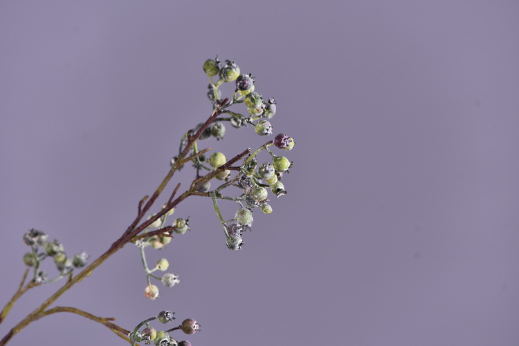 Factory direct sales of artificial Ma Sang Fruit Mountain return artificial berries wholesale living room model room banquet decoration wild fruits pic 5