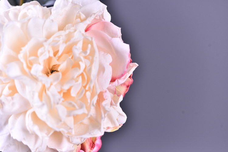 Factory direct sales of 2 simulated peonies, retro charred edge simulated peonies, soft decoration floral art for living rooms, lobbies and homestays pic 24