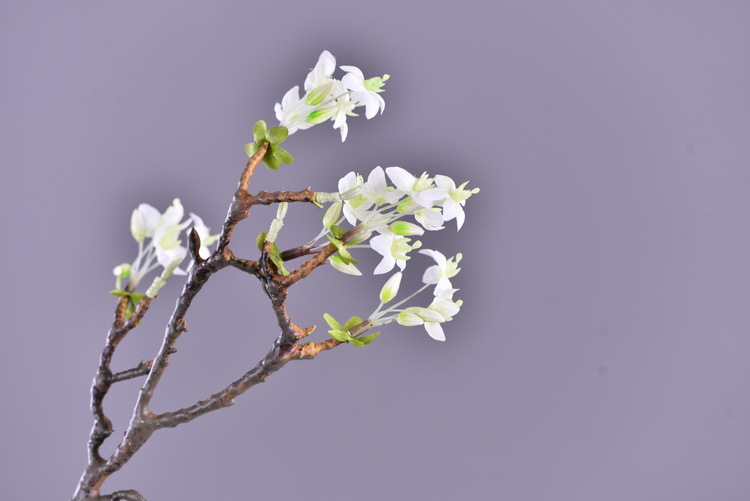 Factory wholesale of high-end artificial flowers, artificial purple rosewood flowers, soft decoration floral art for hotel and homestay model rooms, and artificial locust flowers pic 21