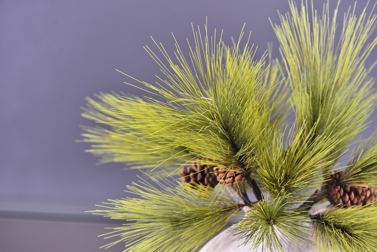 Factory direct sales of artificial Masson pine, Wabi-sabi style, Chinese Zen style artificial plants, wedding and banquet decoration green plants, pine needles pic 31