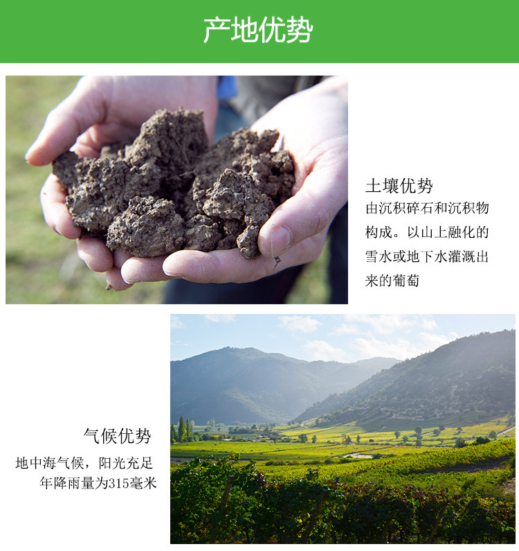 智利原装原瓶进口果香白葡萄酒精选长相思干白葡萄酒现货批发代理详情5