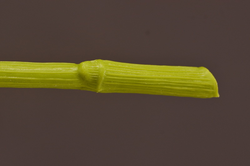 Wholesale of artificial lace and artificial green plants from the original factory, flower arrangement materials, and artificial plants for home, hotel, wedding and decoration pic 11