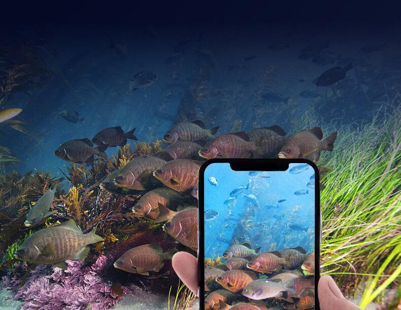 Fish tank, grass tank, light stand, aquarium lighting lamp, aquatic plant lamp, aquarium bracket lamp, LED lighting clamp lamp pic 12