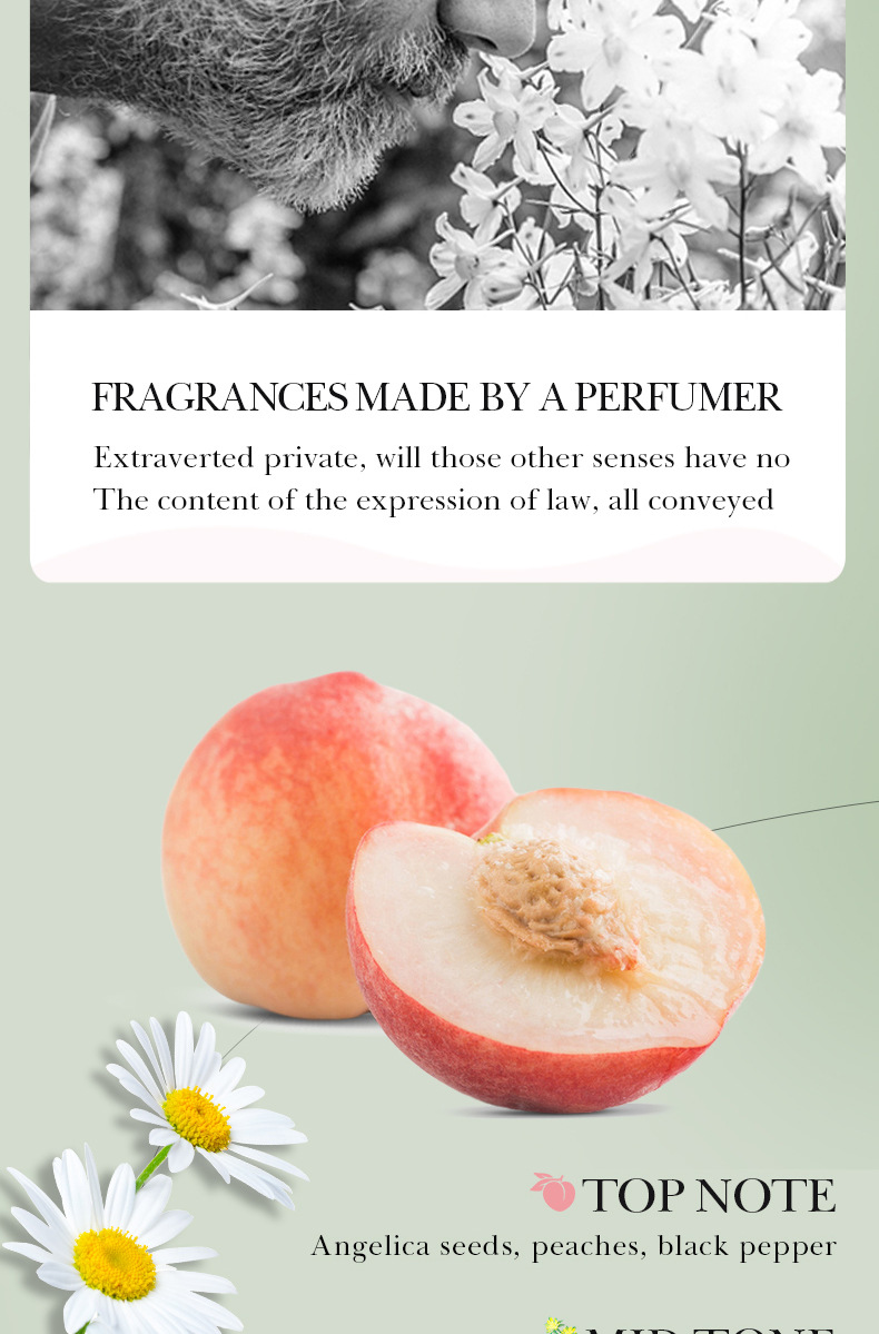 All-english fruit Hand Cream 75g SADOER Avocado Moisturizing Coconut Moisturizing Cross-border Foreign Trade pic 15