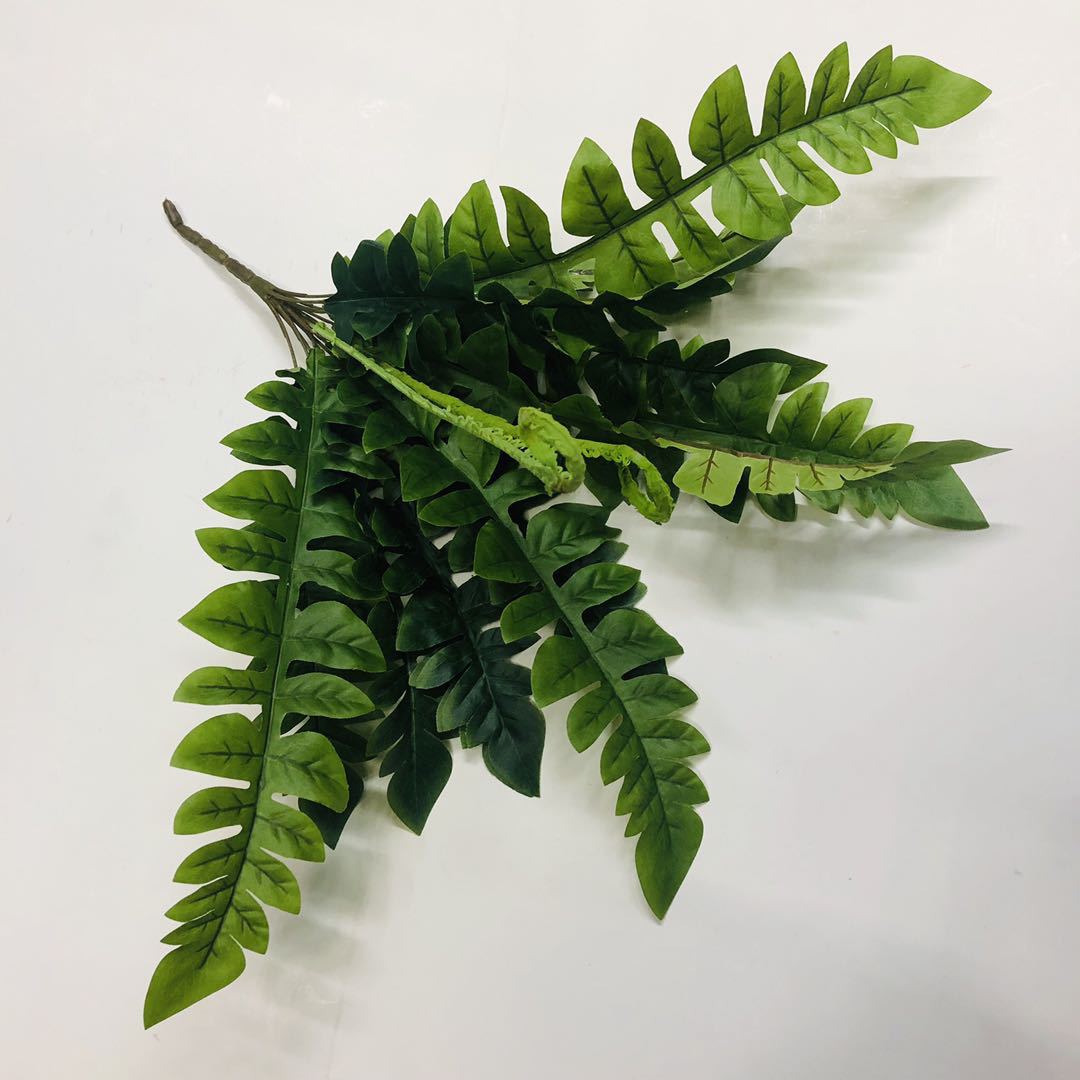 Artificial fern grass, Persian grass green, leaf green grass, row grass, artificial green plants, artificial plants, plant wall accessories, artificial grass, artificial flowers, artificial lawns, artificial trees, artificial vines, artificial flowers, artificial green pic 13