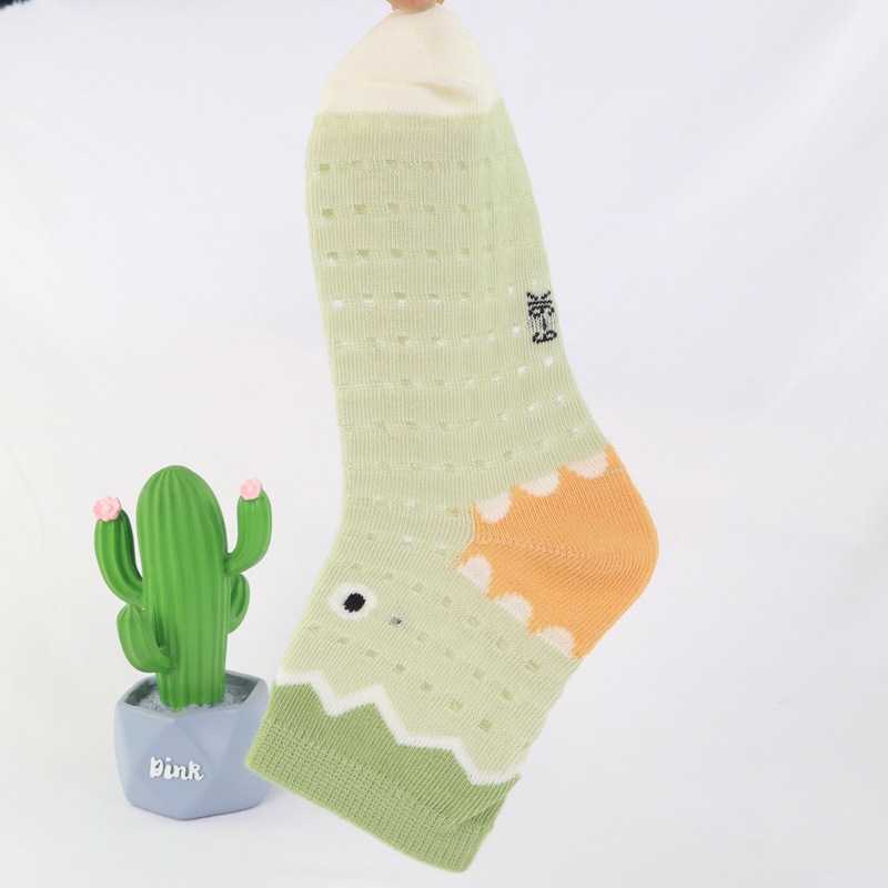 六指鼠891T-24男洞洞 (7).JPG