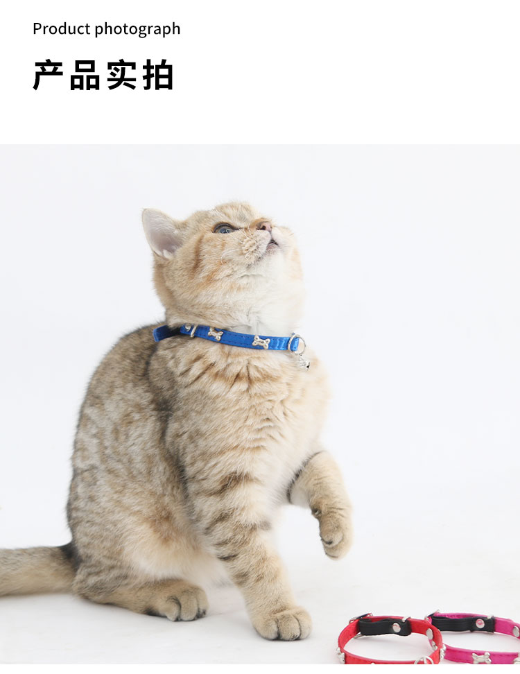 宠物小猫狗项圈颈带猫咪龙猫颈圈用品项链泰迪狗狗幼猫项圈带铃铛详情7