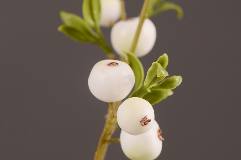 Factory direct sales of simulated small apple branches with leaves for home entrance and hotel soft decoration, as well as simulated fruit branches of the money fruit pic 5