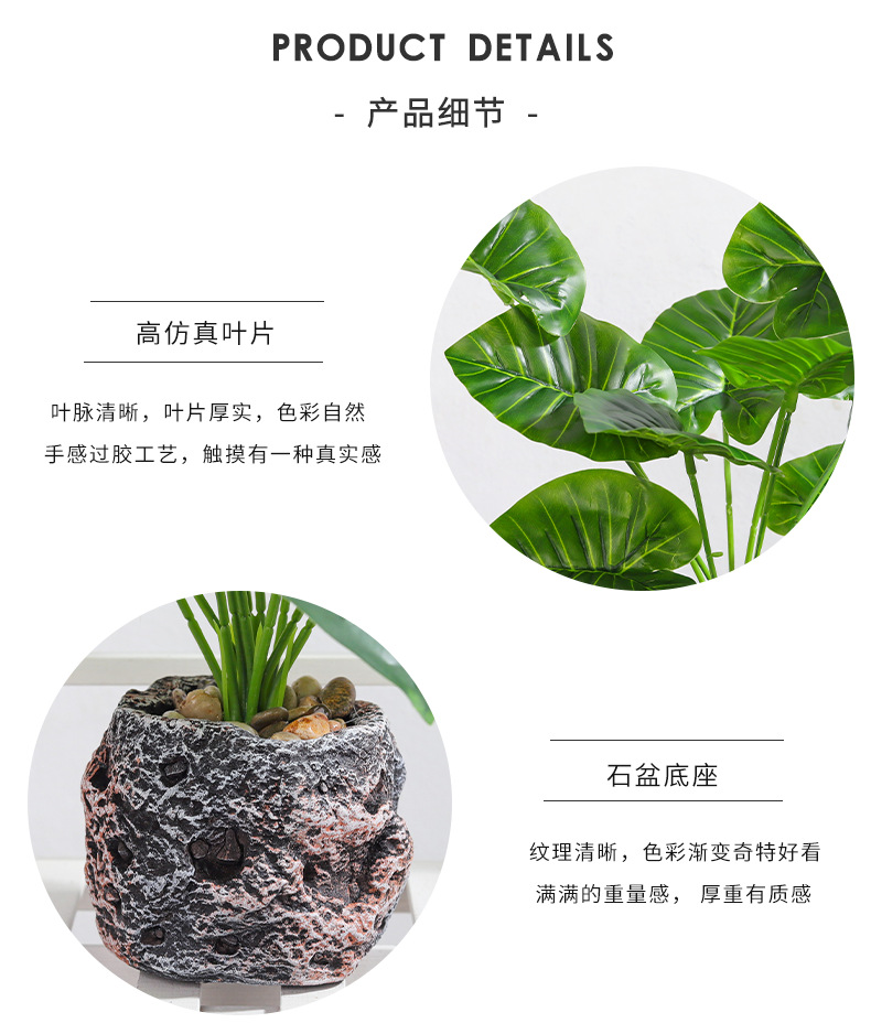 Nordic InS-style simulated pothos and turtle-back leaf potted plants, living room desktop simulated green plant potted plants, home decoration ornaments simulated potted plants pic 14