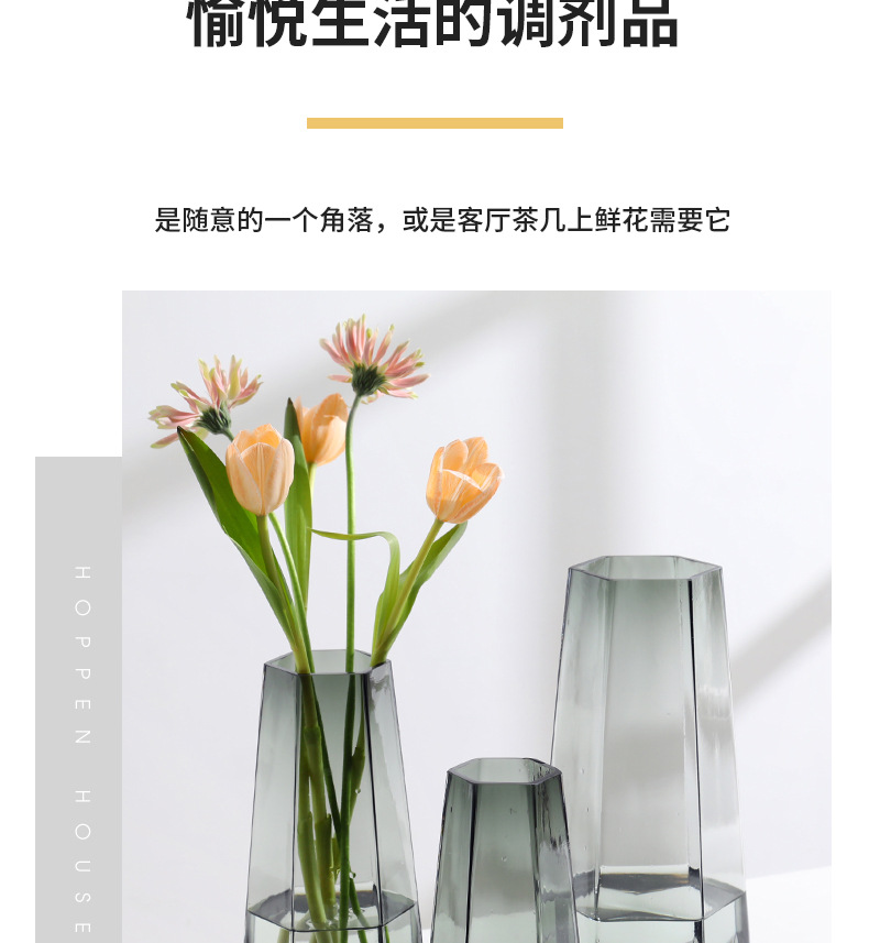 A popular Nordic minimalist creative glass vase, transparent water-grown flower arrangement, rose and lily vase, a living room decoration for home use pic 5