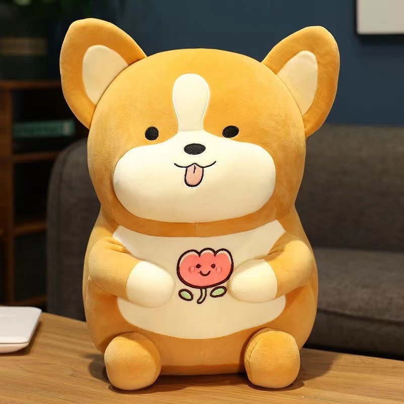 微信图片_20221201115522