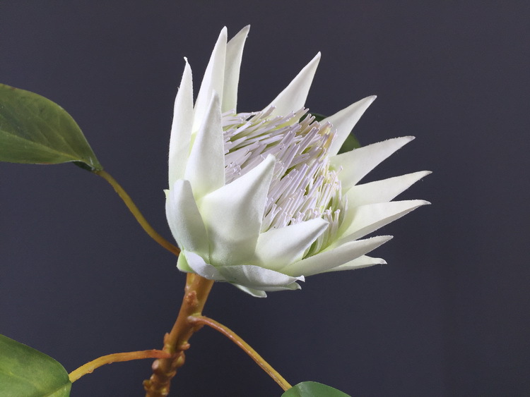 Dongli Flower Industry Factory offers direct sales and wholesale of tropical flowers, including simulated little emperor flowers, Nordic minimalist living room and home decoration simulated flowers, as well as entrance and table flowers pic 25